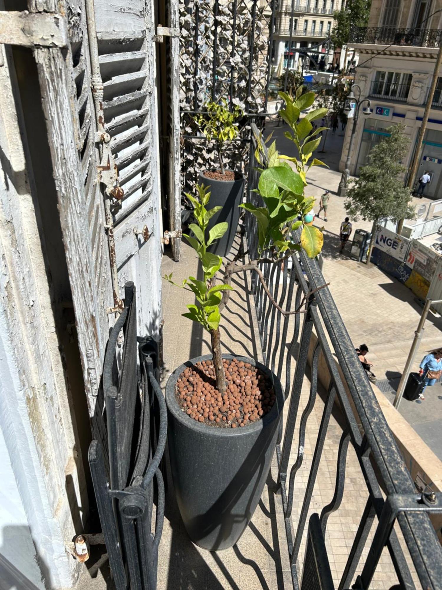 Historique Vieux Port Apartamento